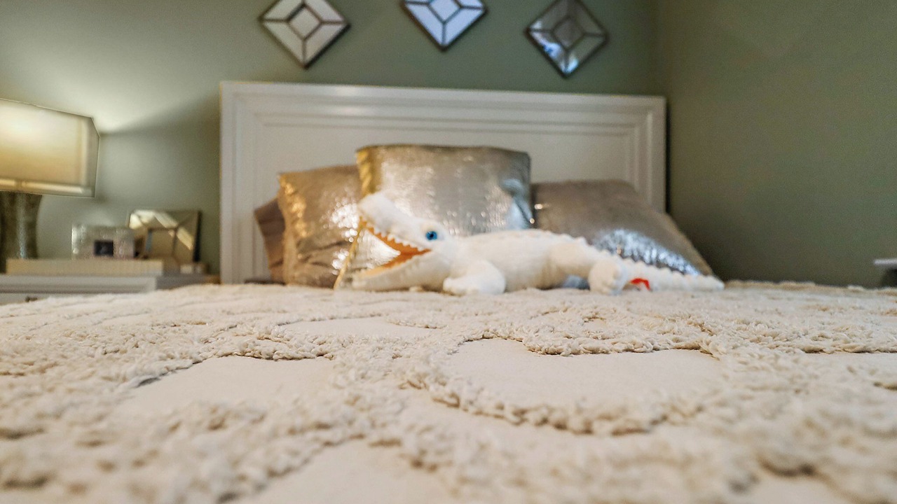 Photo of Bedroom in Anahuac