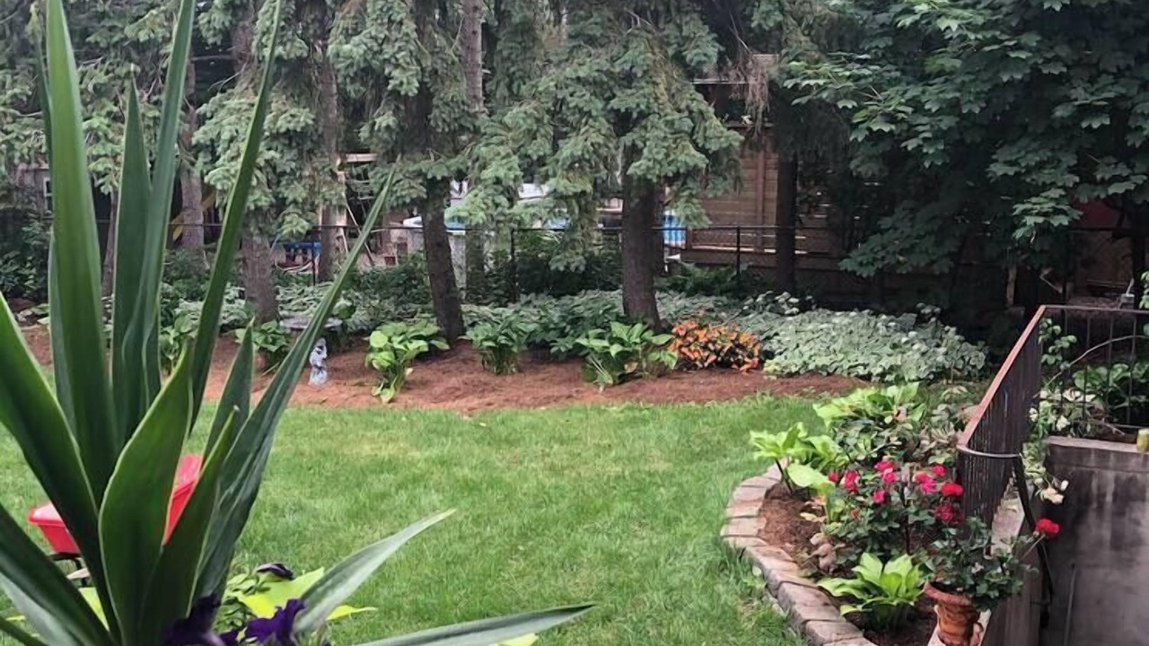 Photo of Outdoor in Streetsville