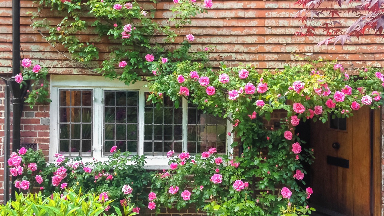 Photo of Outdoor in Withyham