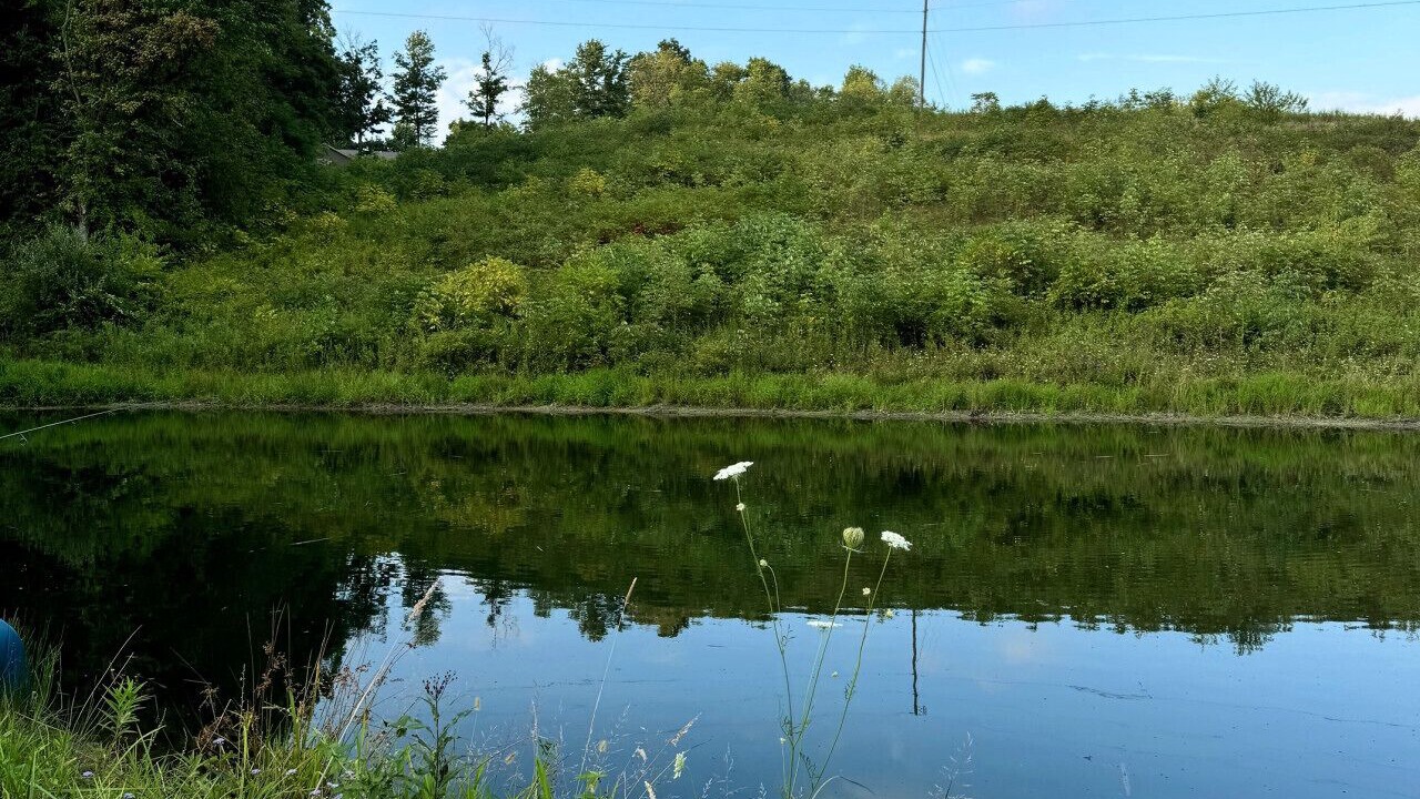 Photo of Others in McArthur