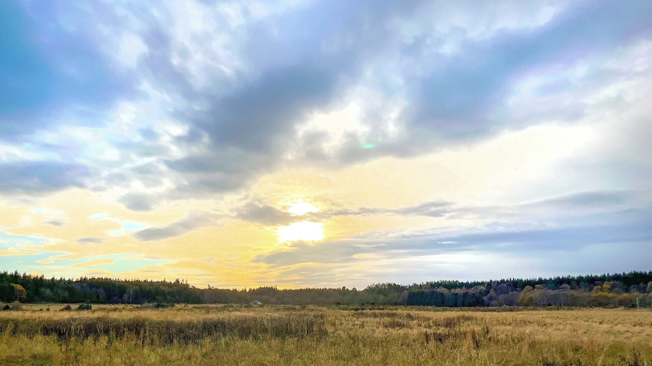 Photo of Others in Forres