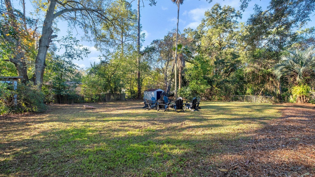 Photo of Others in Tallahassee