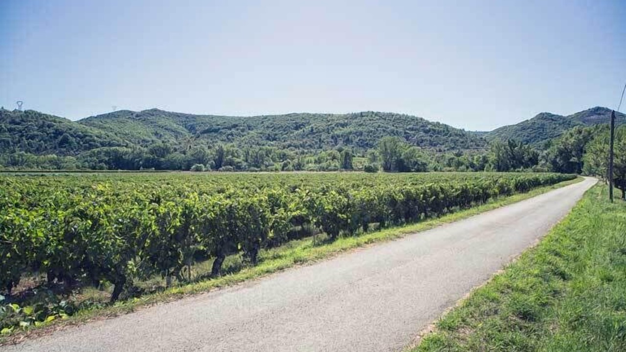Photo of Others in Saint-Germain