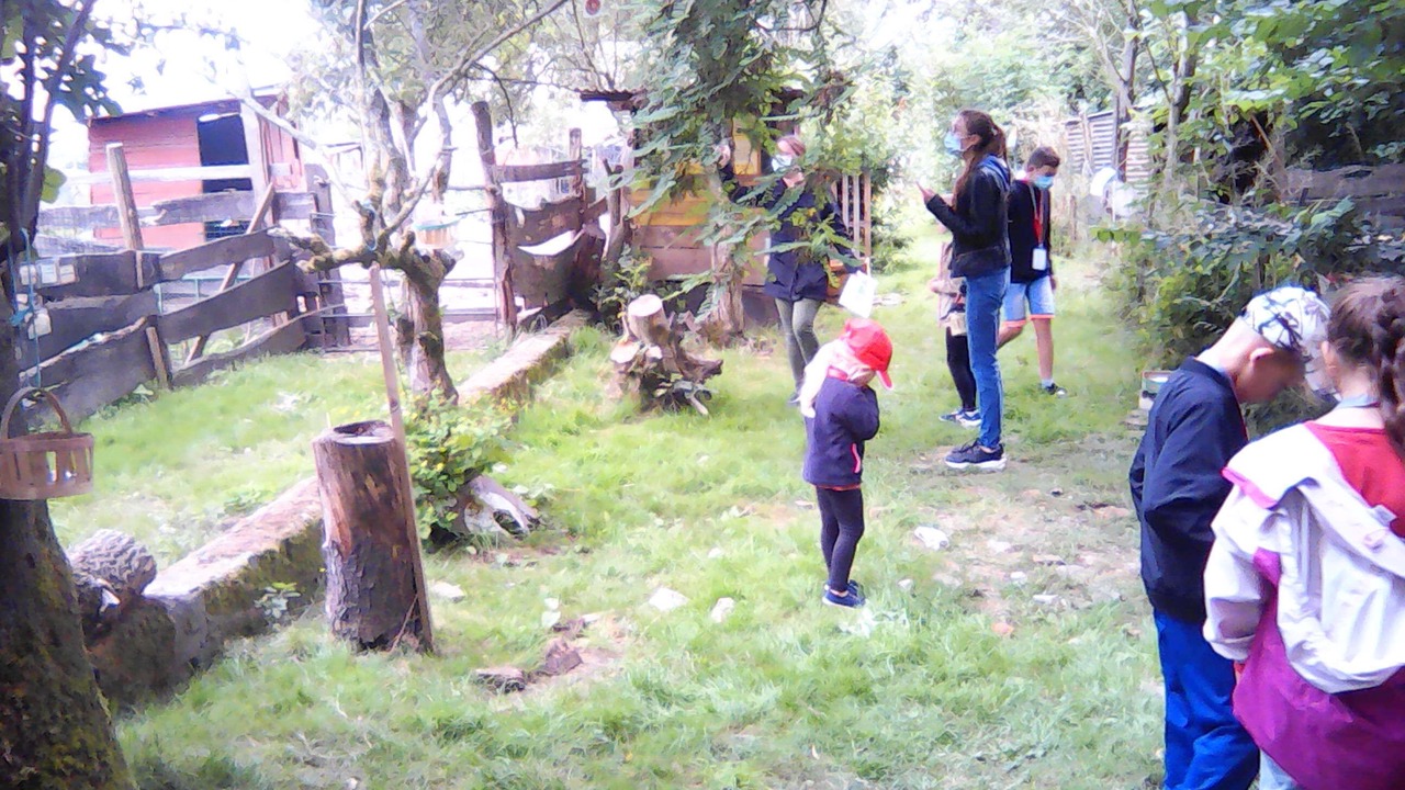 Photo of Others in Blargies