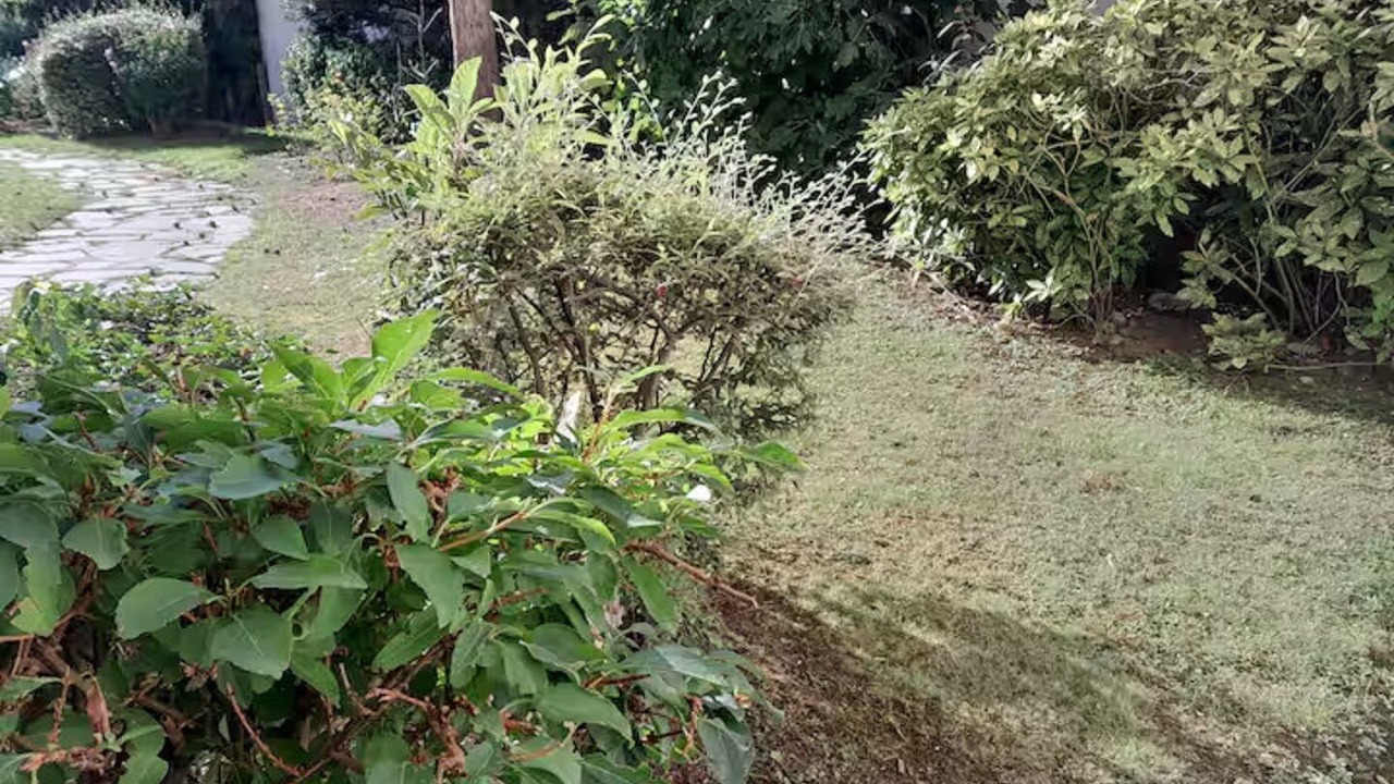 Photo of Outdoor in Silly-Gallieni
