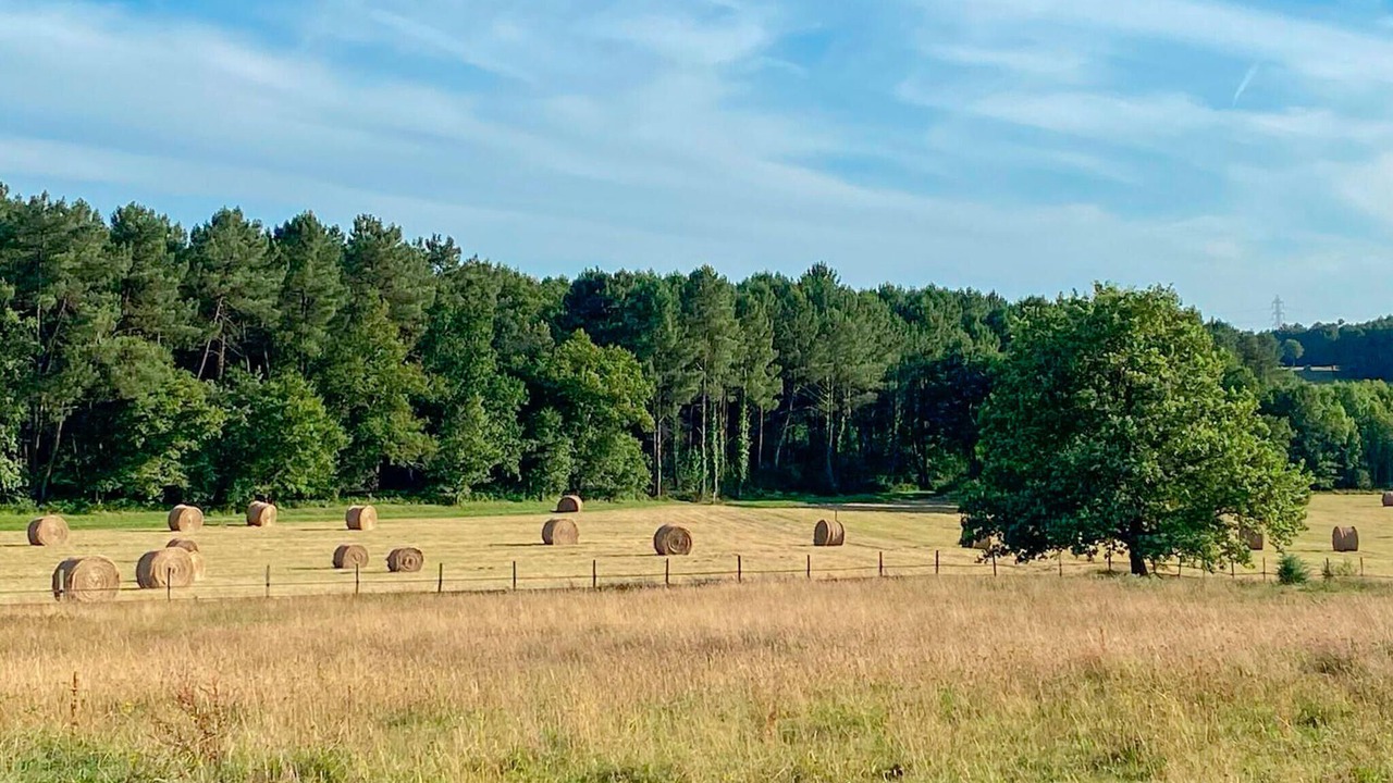 Photo of Others in Saint-Geraud-de-Corps