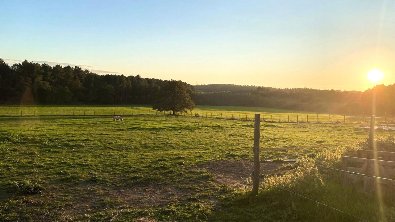 Photo of Others in Saint-Geraud-de-Corps