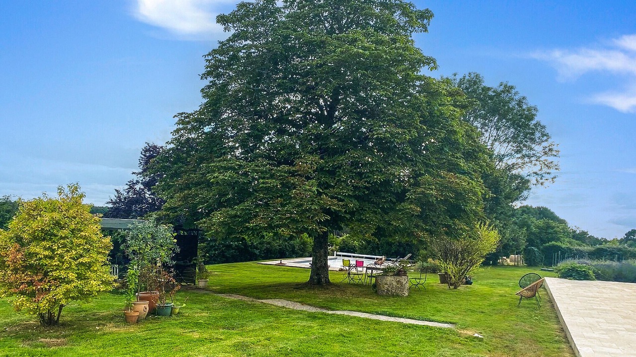Photo of Others in Saint-Geraud-de-Corps