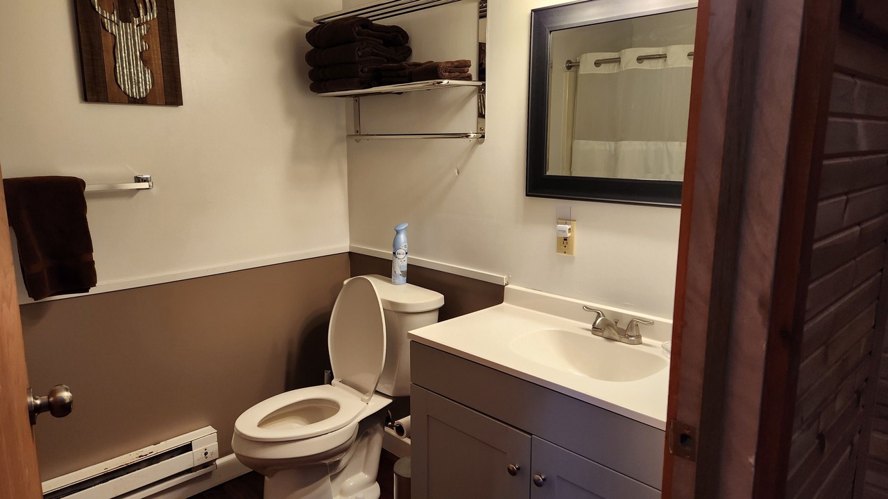 Photo of Bathroom in Wellston