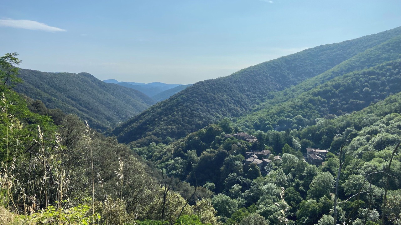 Photo of Others in Saint-Julien-les-Rosiers