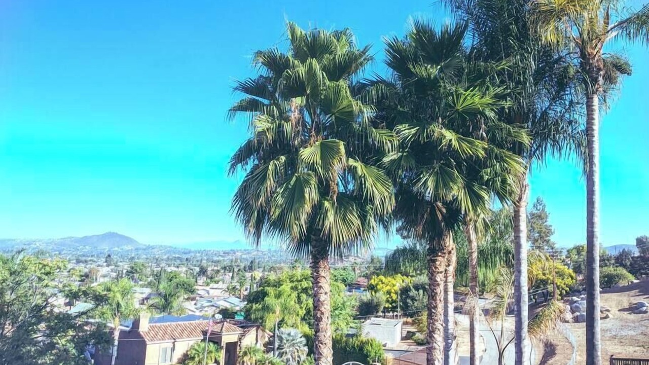 Photo of Others in Rancho San Diego