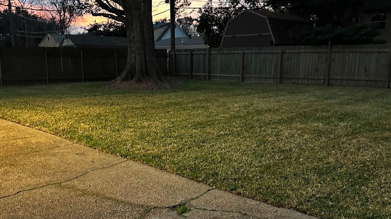 Photo of Others in LaPlace