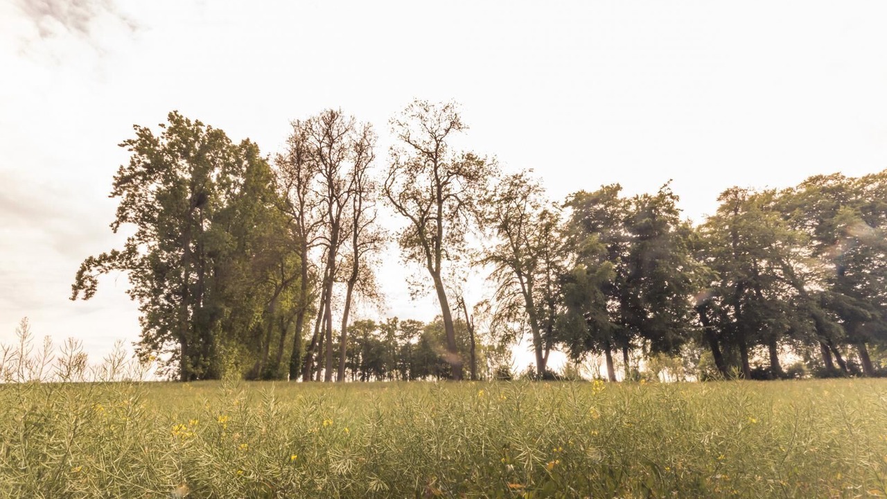 Photo of Others in Beauval-en-Caux