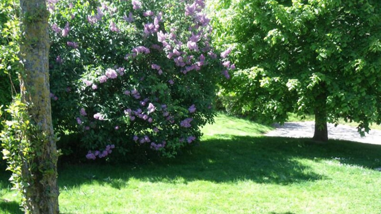 Photo of Outdoor in Vattetot-sur-Mer