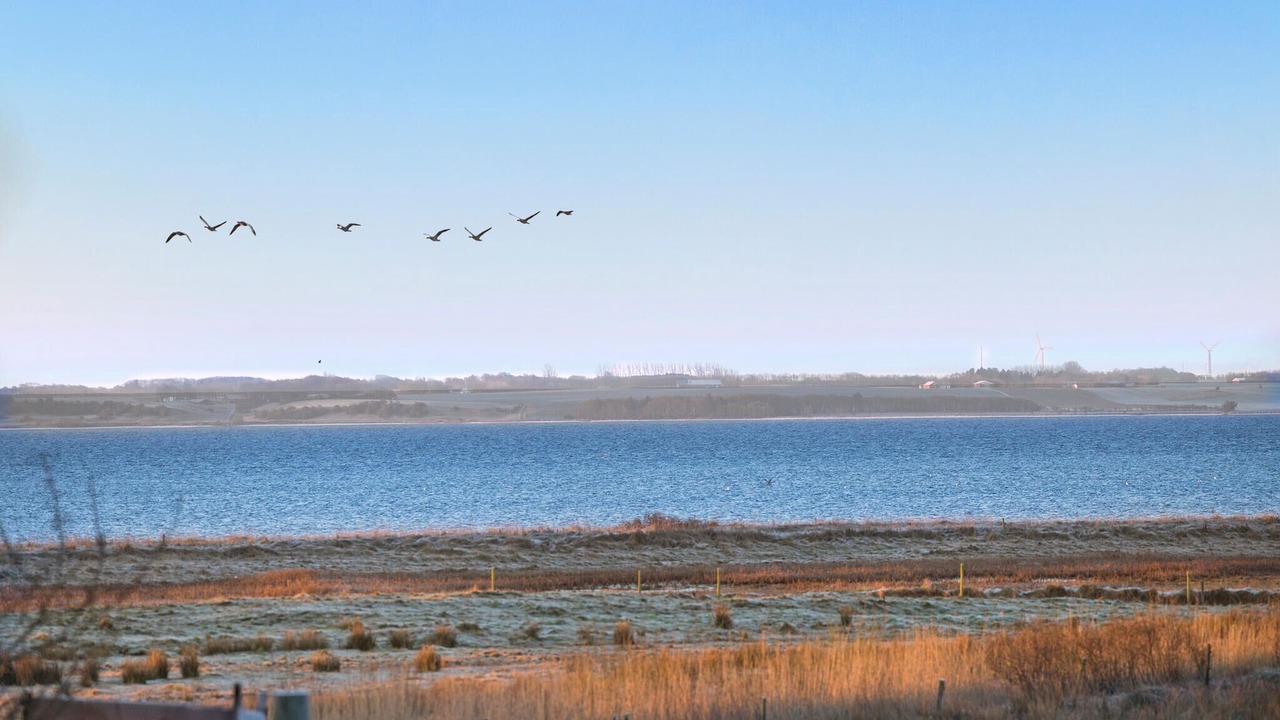 Photo of Others in Farso