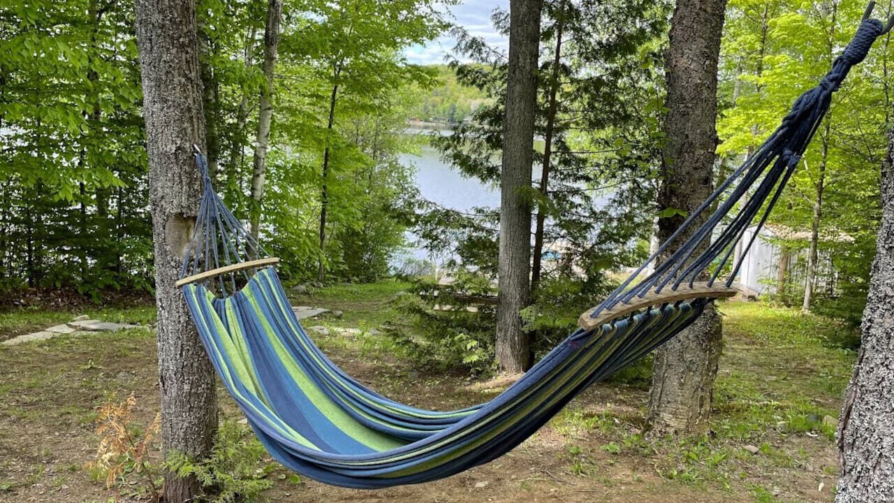 Photo of Outdoor in Hastings Highlands