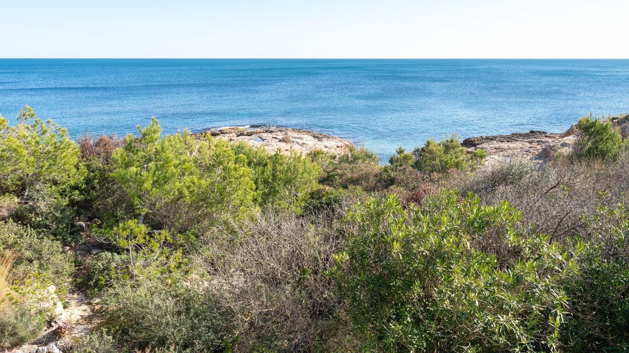 Photo of Others in Costa Dorada