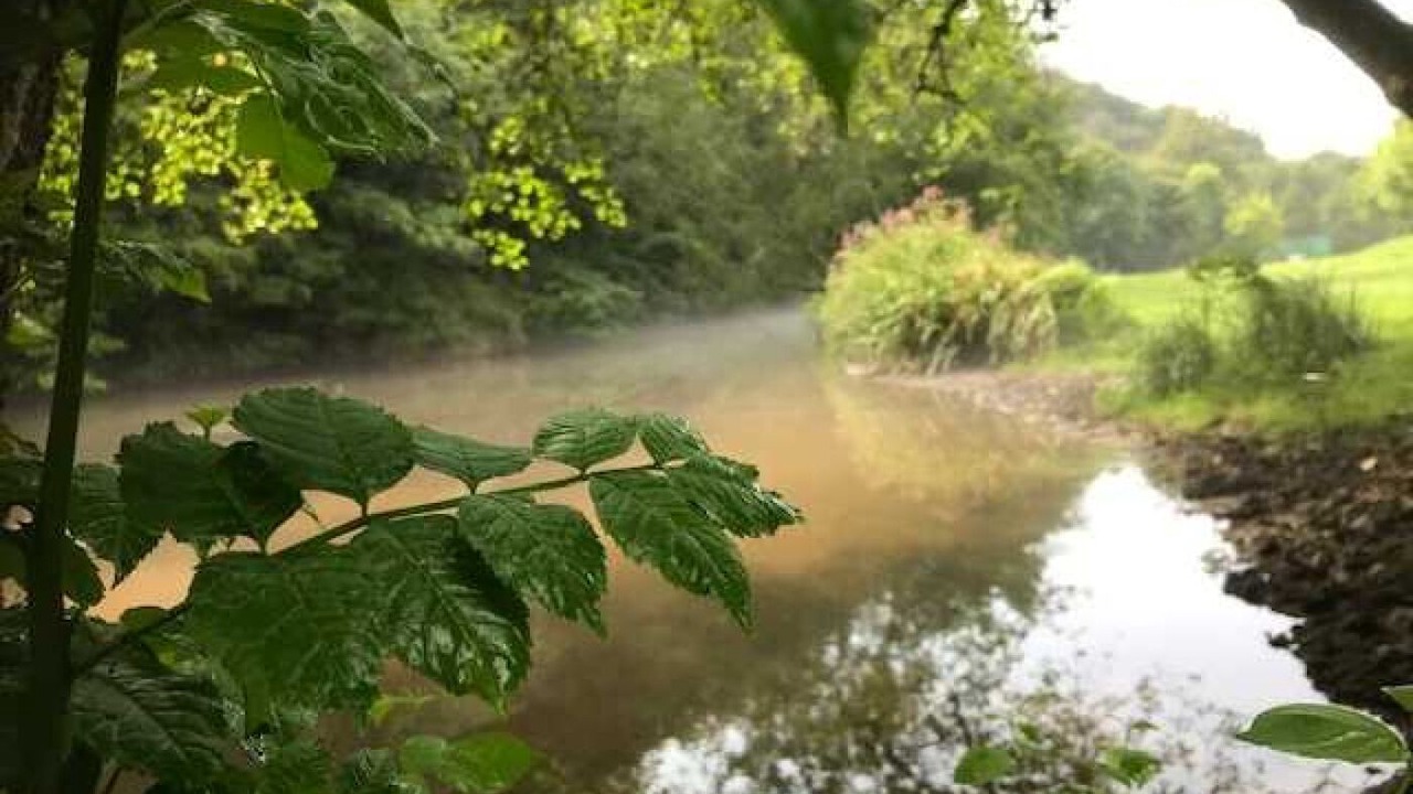 Photo of Others in Jumilhac-le-Grand