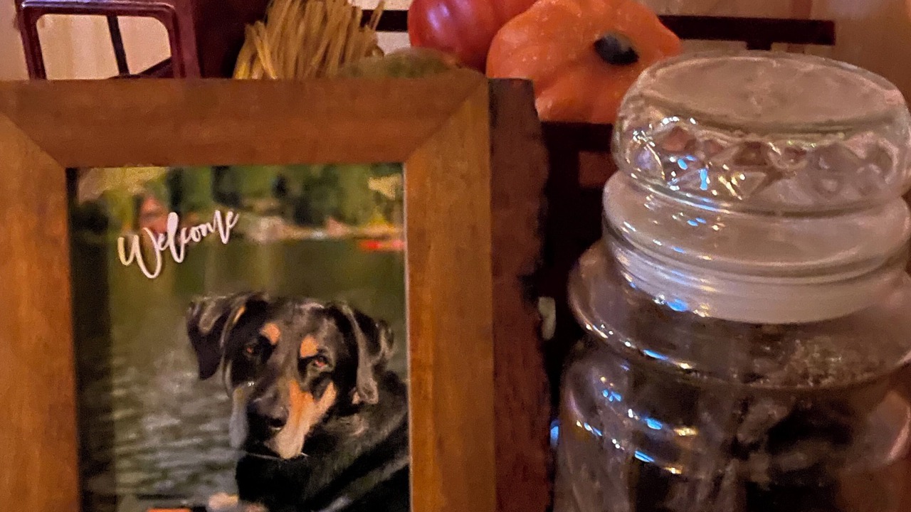 Photo of Others in Eatonville