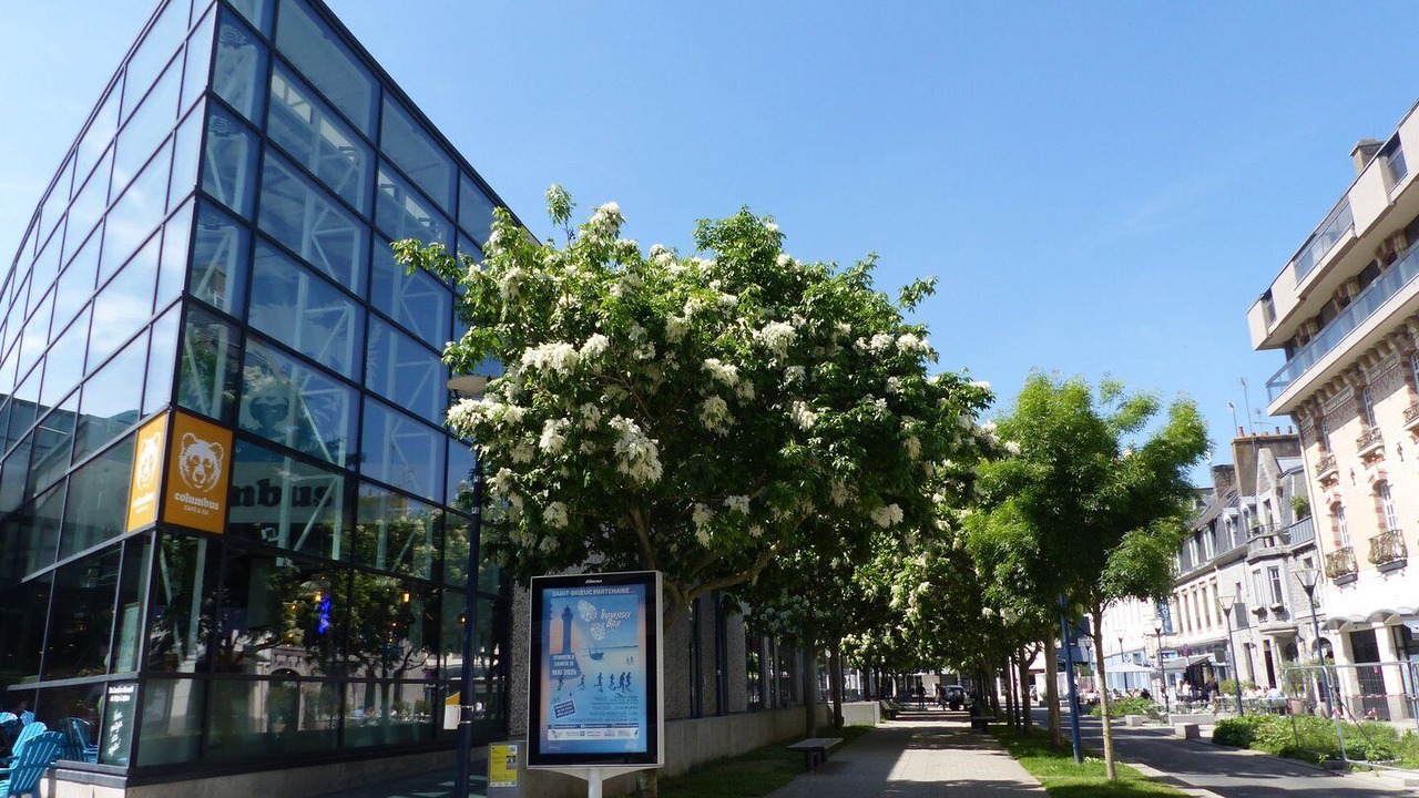 Photo of Others in Saint-Brieuc