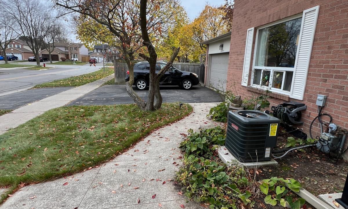 Photo of Outdoor in Mississauga