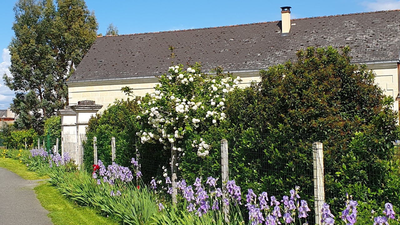 Photo of Outdoor in Chouze-sur-Loire