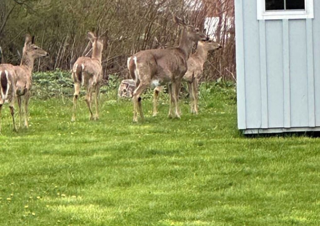 Photo of Others in Buffalo