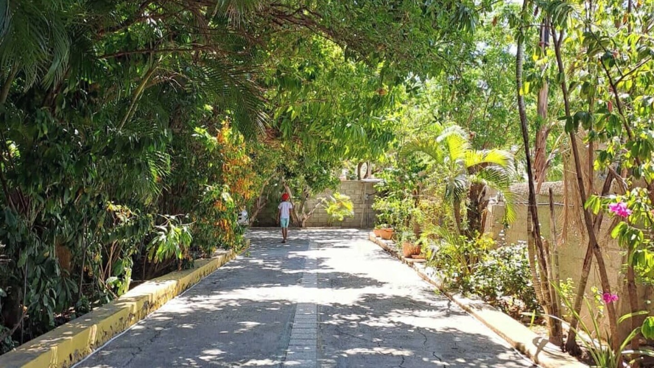 Photo of Outdoor in Azua