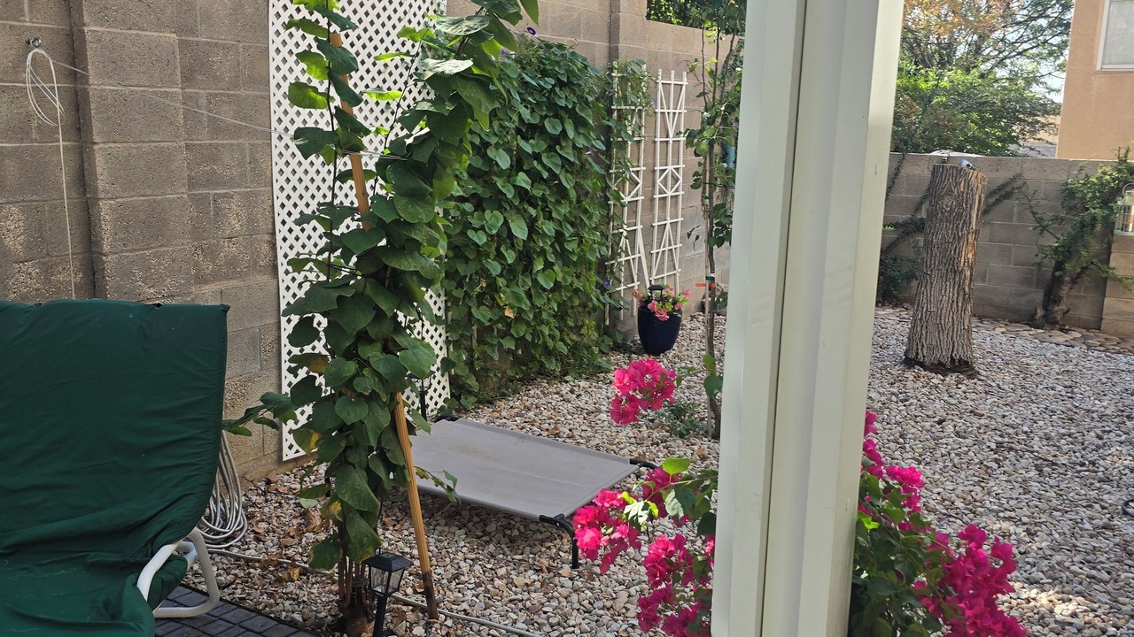 Photo of Patio Balcony in Academy Place