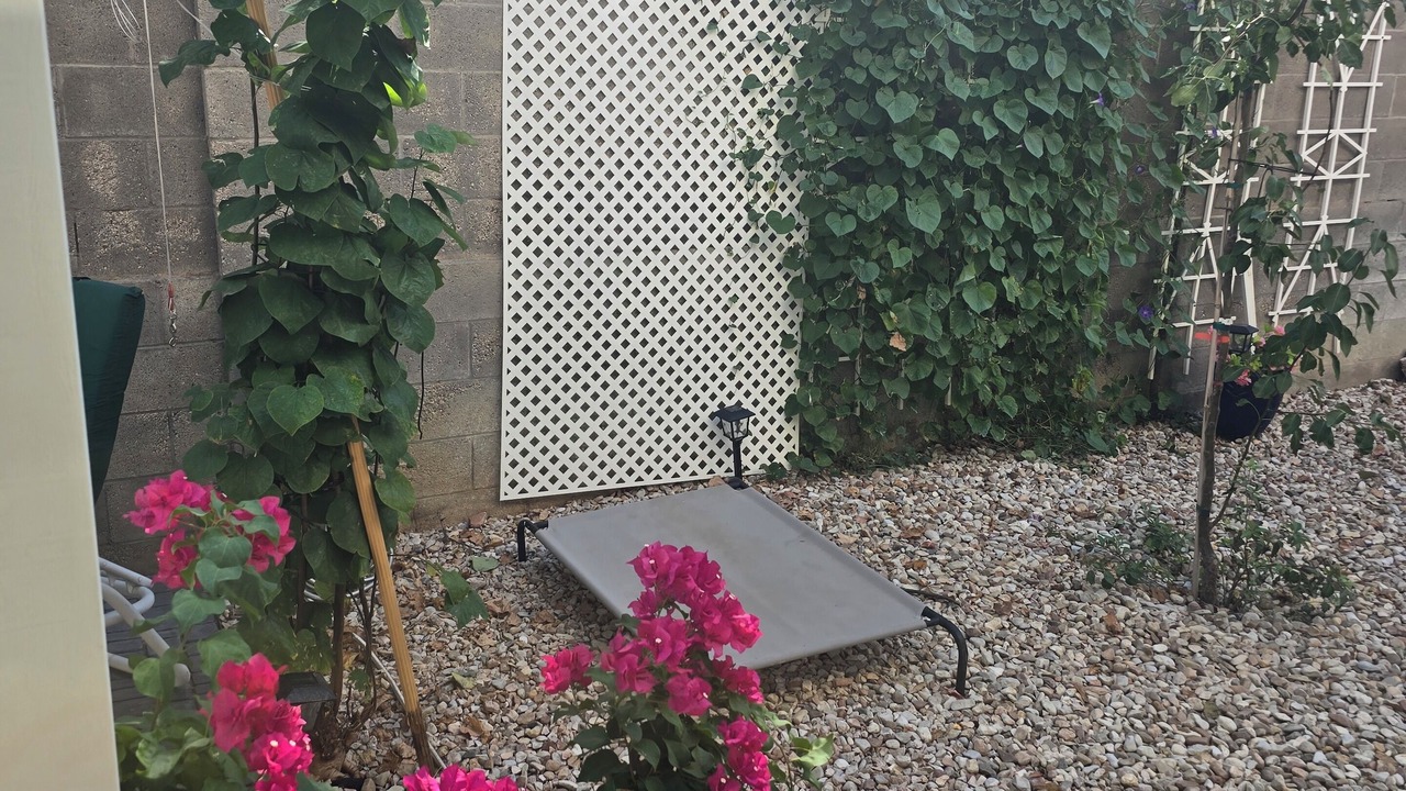 Photo of Patio Balcony in Academy Place