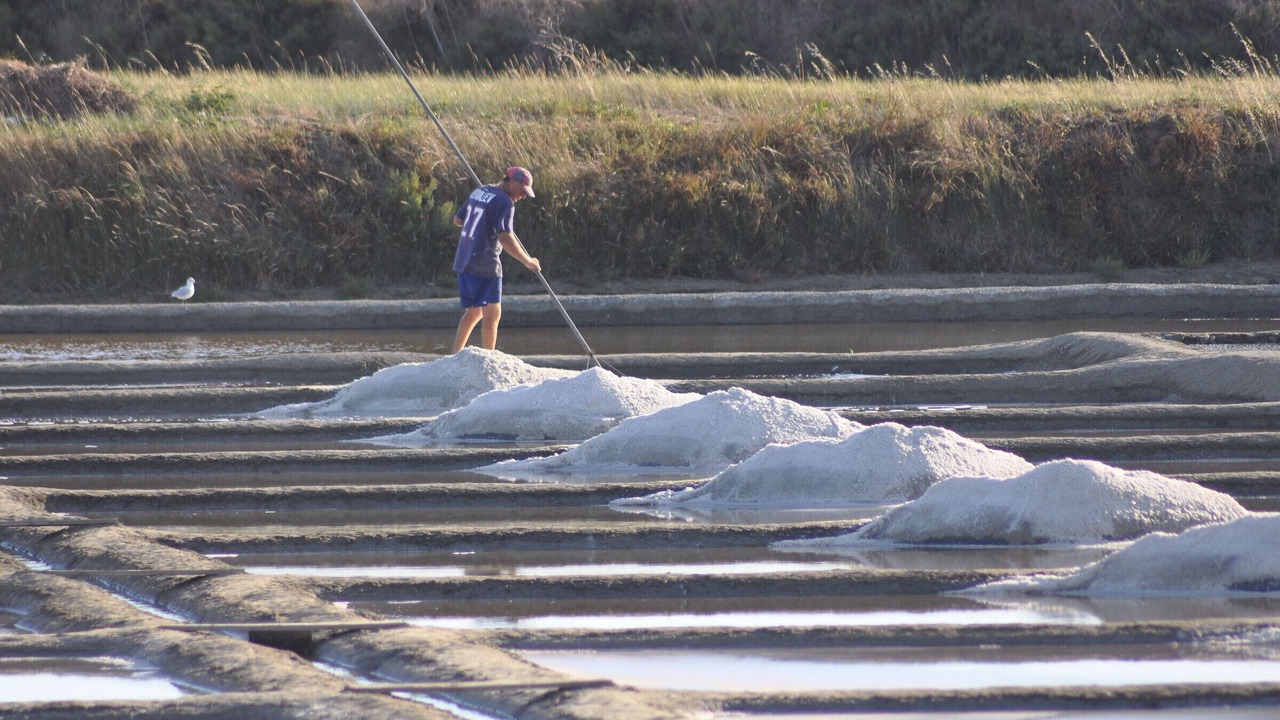 Photo of Others in Guerande