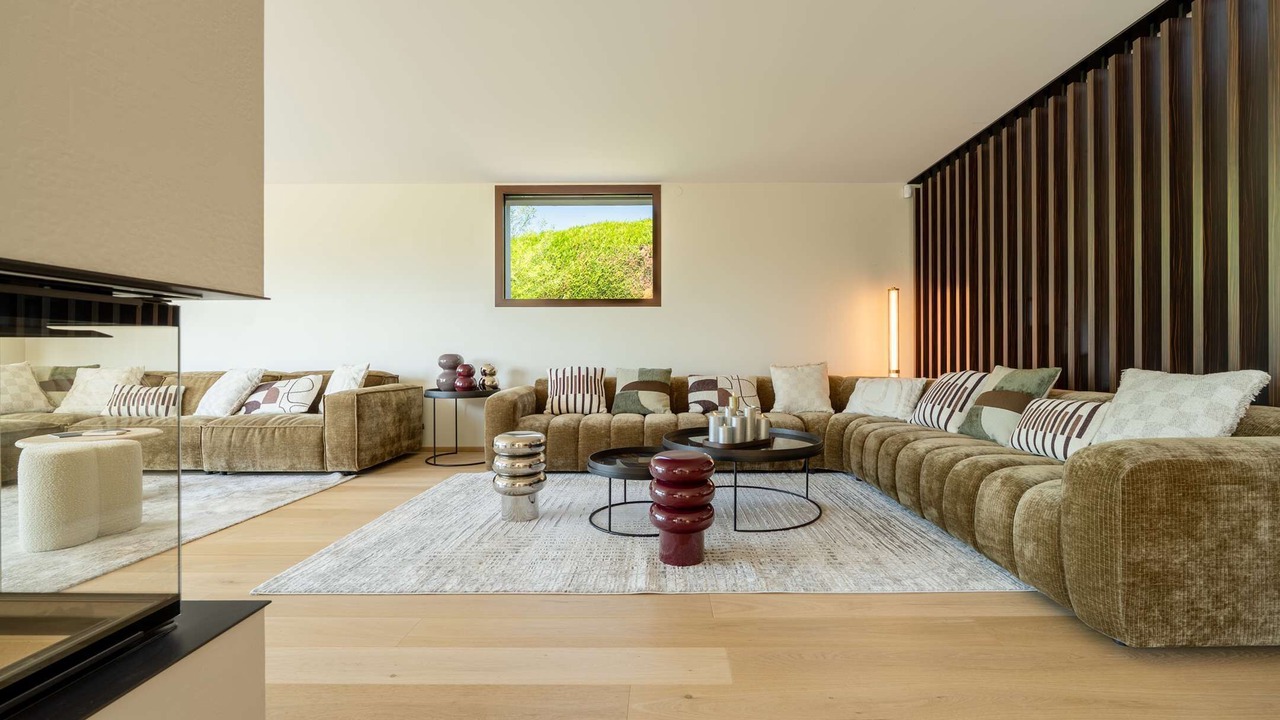 Photo of Livingroom in Veyrier-du-Lac