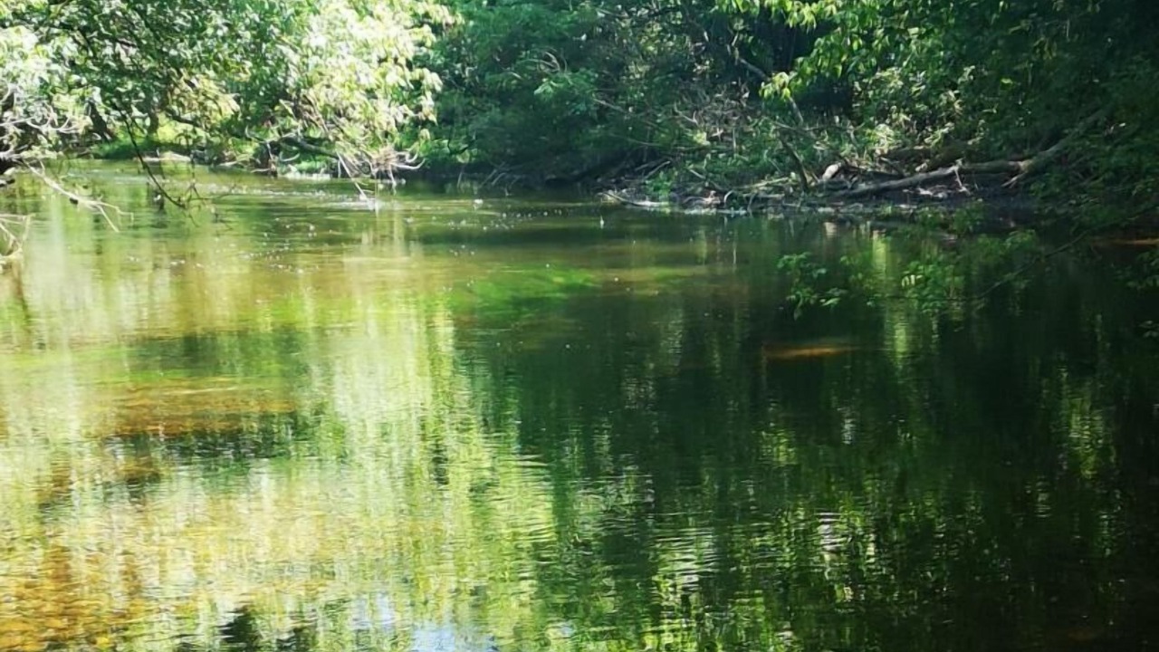 Photo of Others in Pinsac