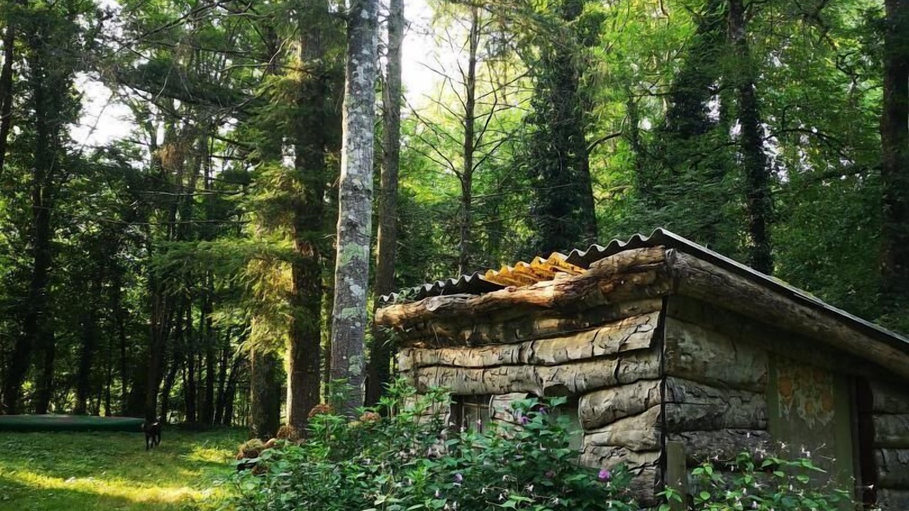 Photo of Outdoor in Pinsac