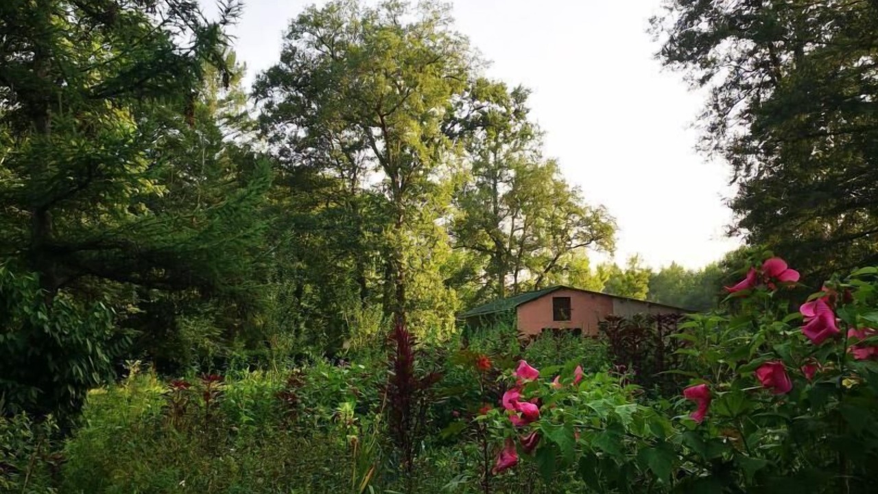 Photo of Outdoor in Pinsac