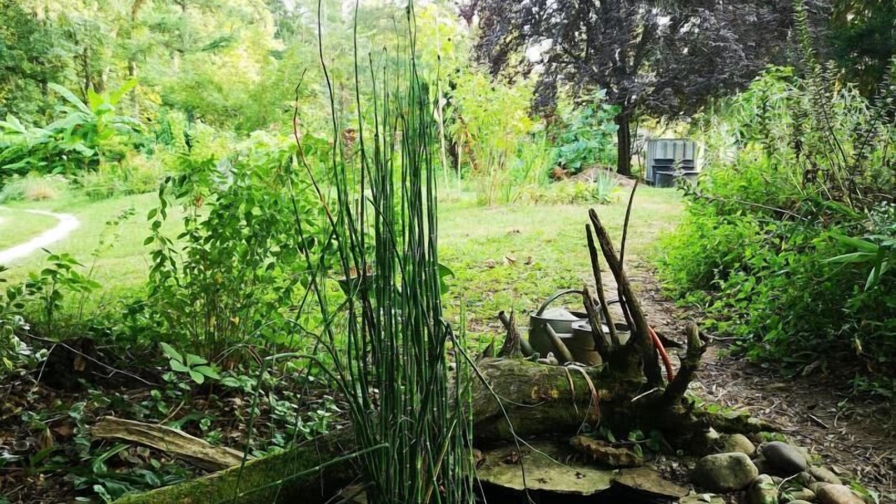 Photo of Outdoor in Pinsac