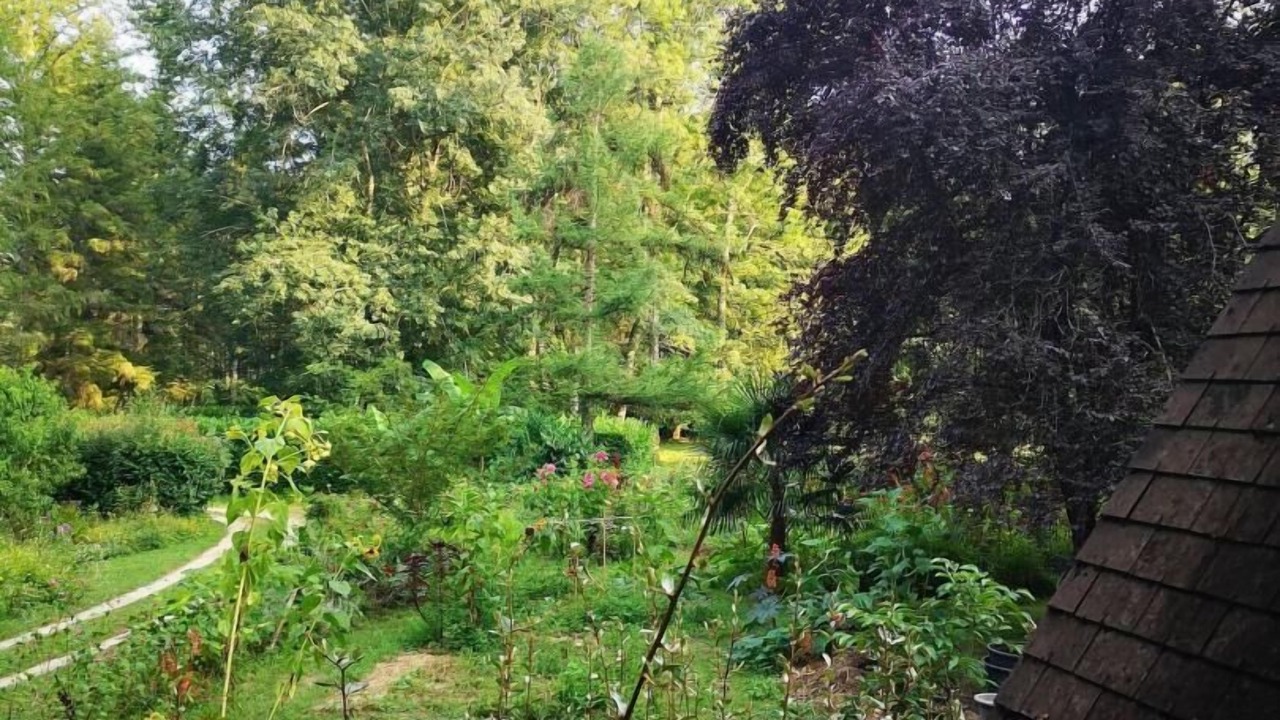 Photo of Outdoor in Pinsac