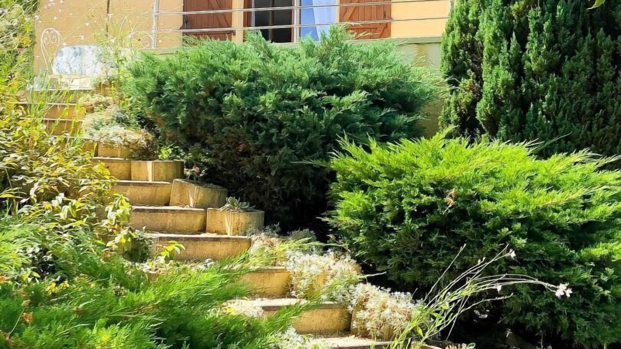 Photo of Outdoor in Payrignac