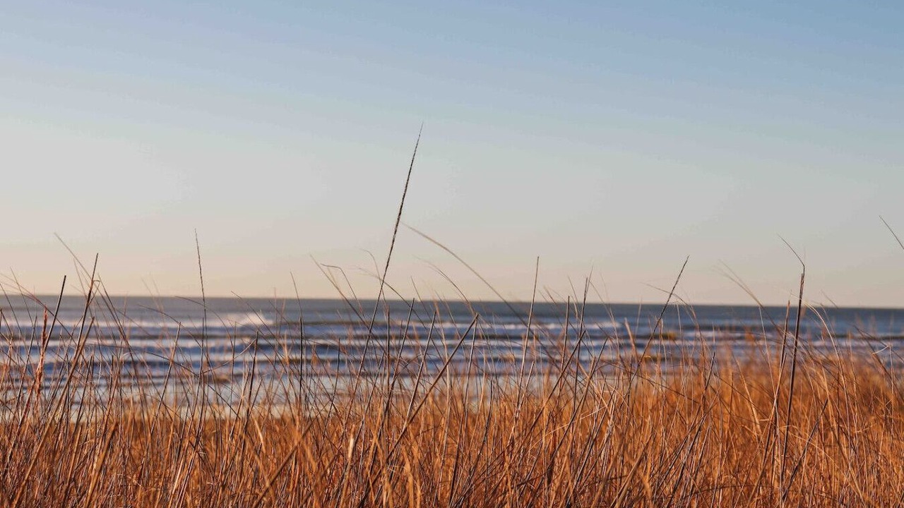 Photo of Others in Westport