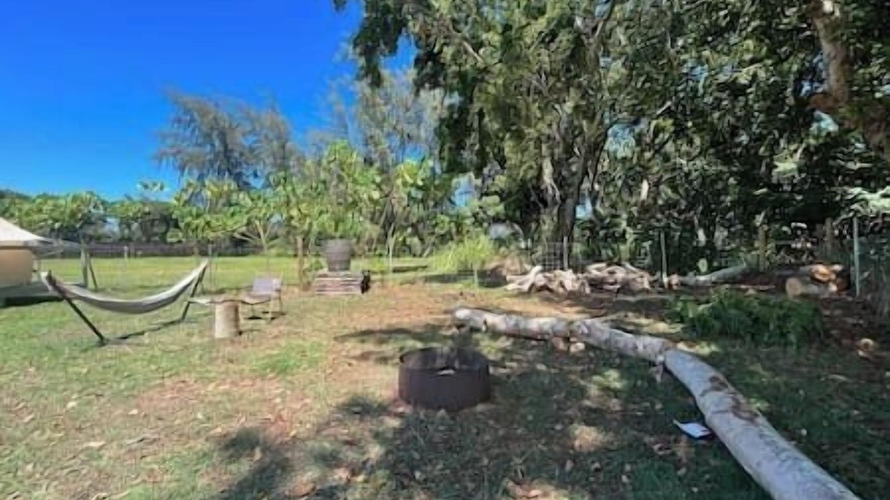 Photo of Outdoor in Laie