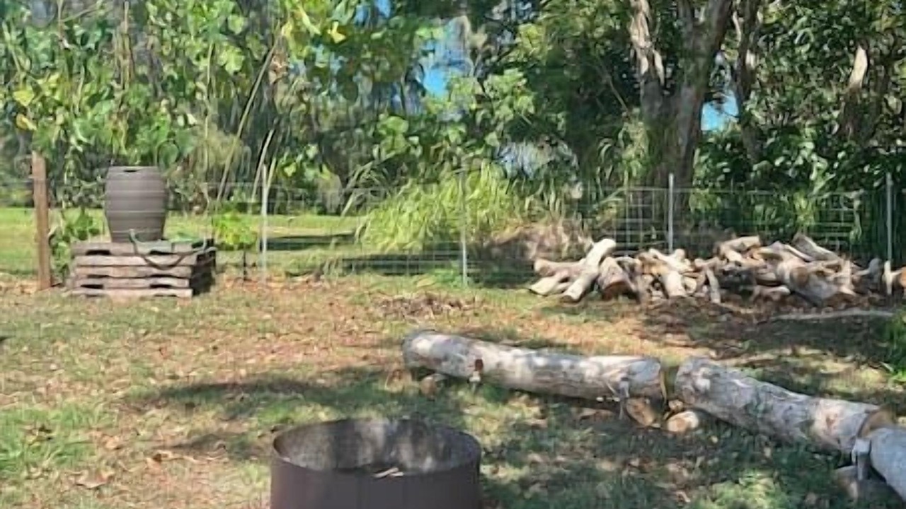 Photo of Outdoor in Laie