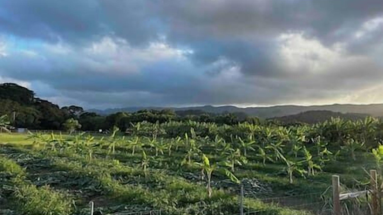Photo of Others in Laie