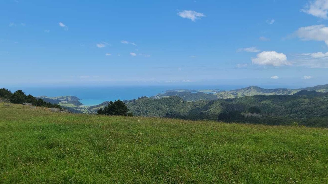 Photo of Others in Helena Bay