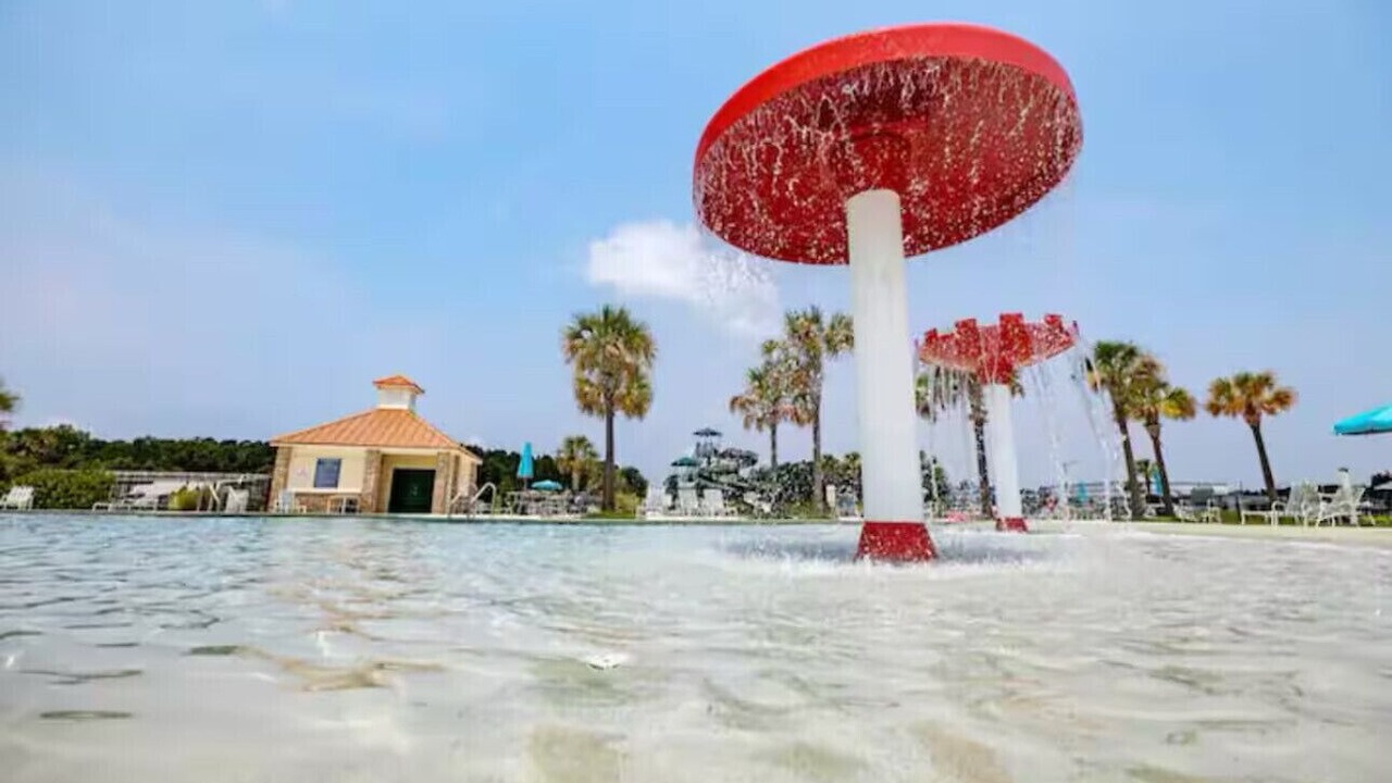 Photo of Outdoor in Port Wentworth