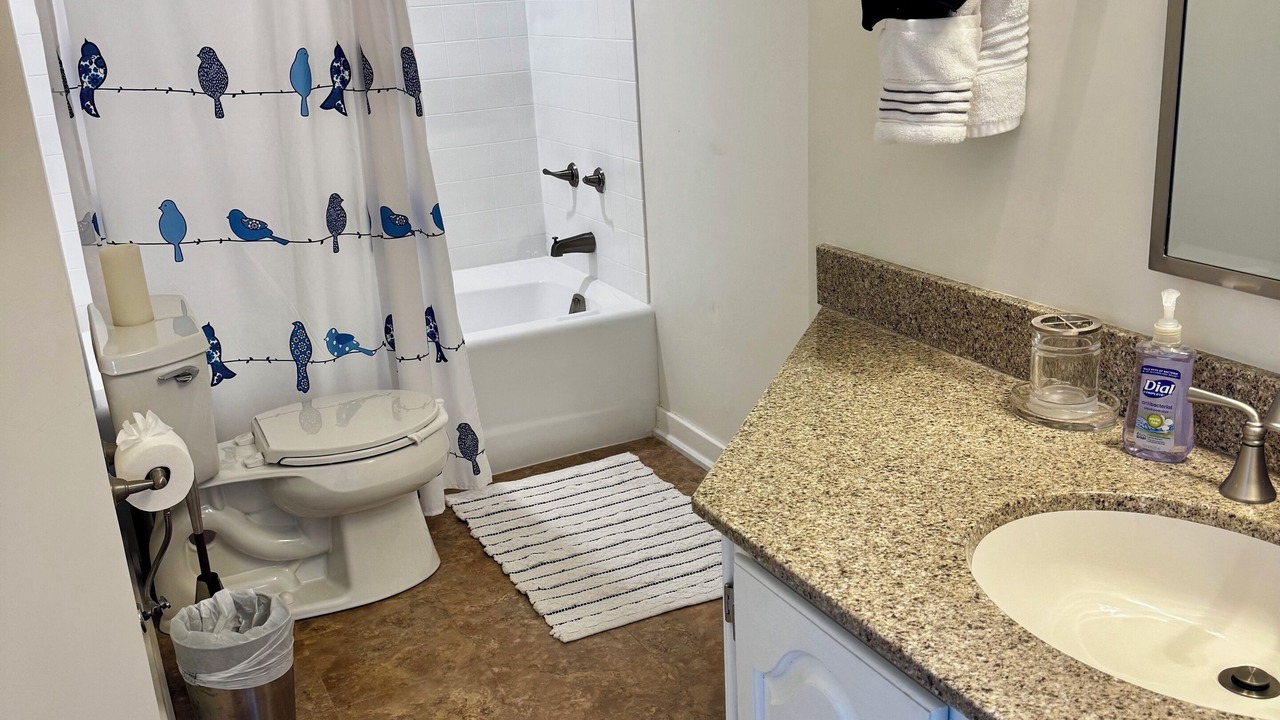 Photo of Bathroom in Nellysford