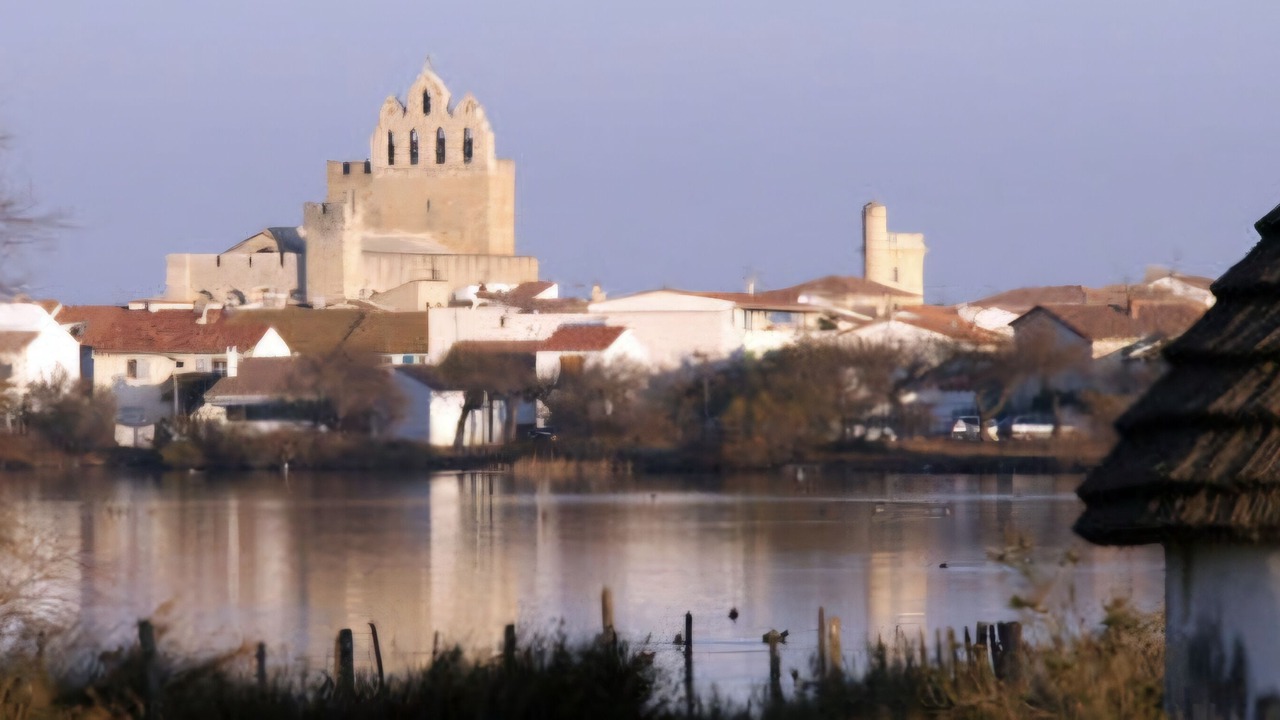 Photo of Others in Gallargues-le-Montueux