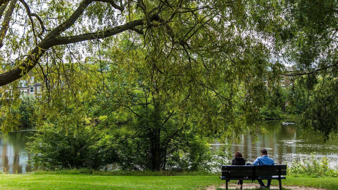 Photo of Others in South Hampstead