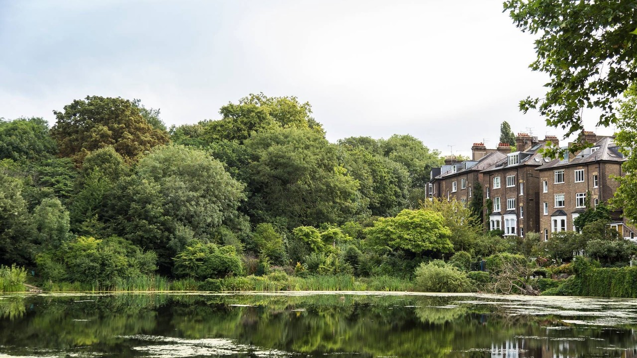 Photo of Others in South Hampstead