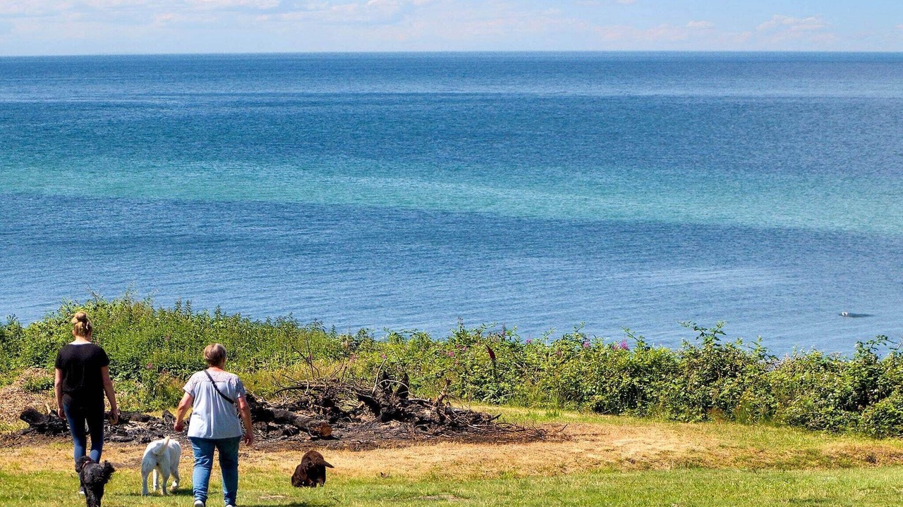 Photo of Others in Smidstrup Strand