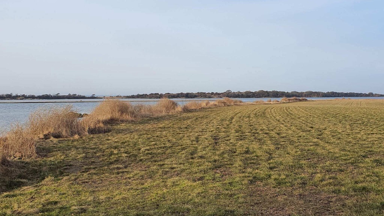 Photo of Others in Guldborg